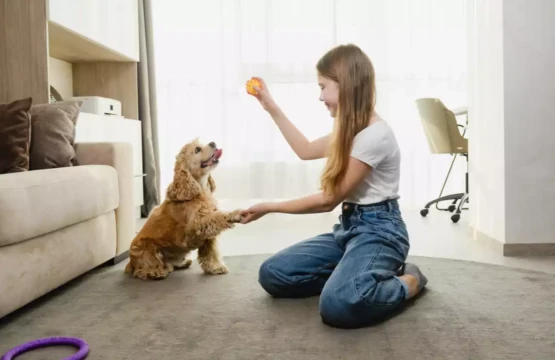 Adolescente entrenando perro cocker spaniel en casa