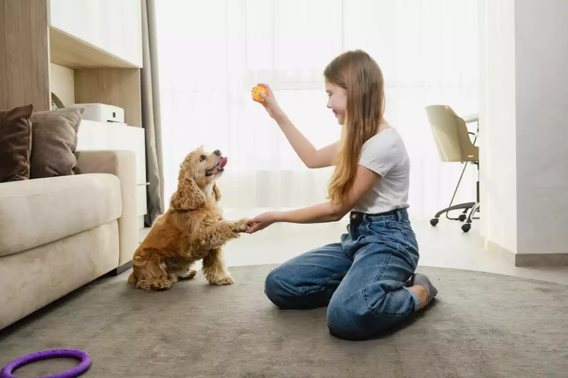 Adolescente entrenando perro cocker spaniel en casa